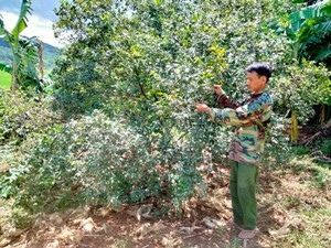 Một công an viên làm kinh tế giỏi